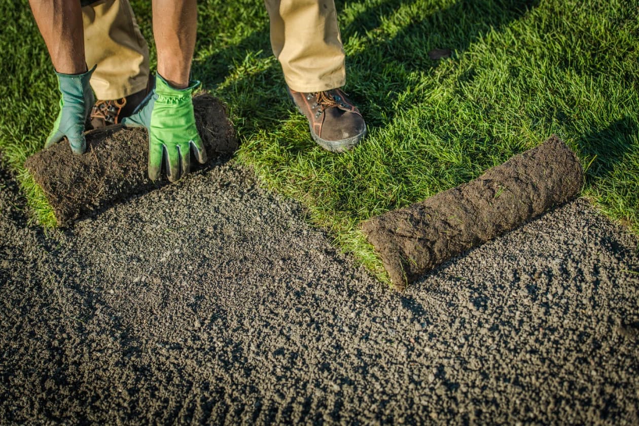 Jardinería y mantenimiento de áreas verdes